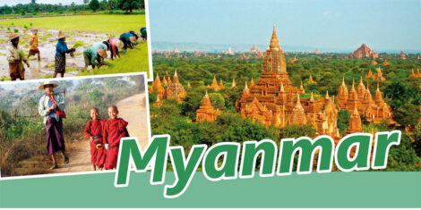 pliant myanmar
